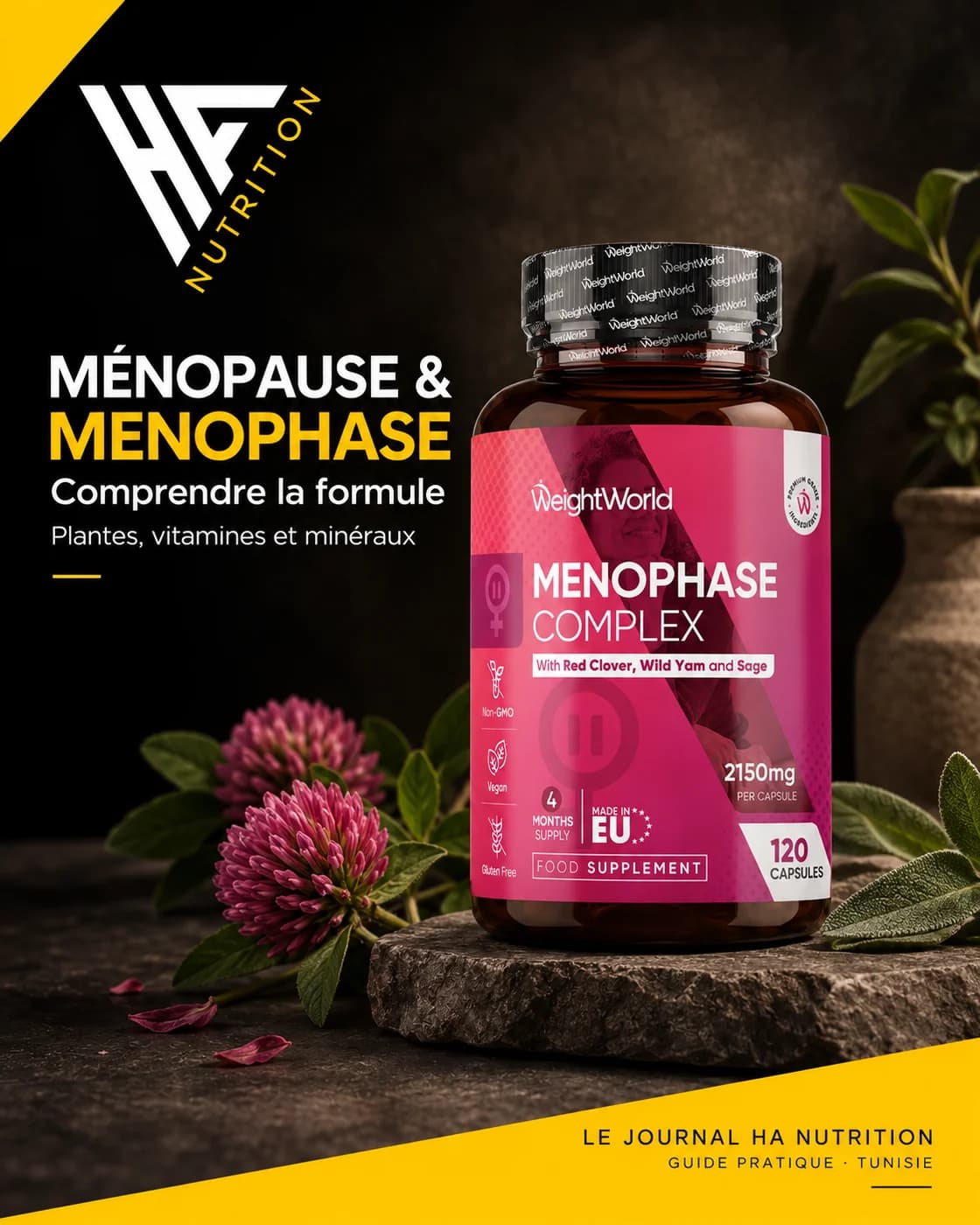 MenoPhase et ménopause : comprendre la formule — Ménopause & compléments